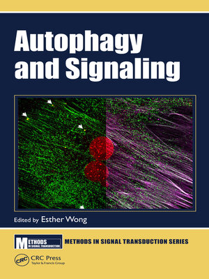 cover image of Autophagy and Signaling